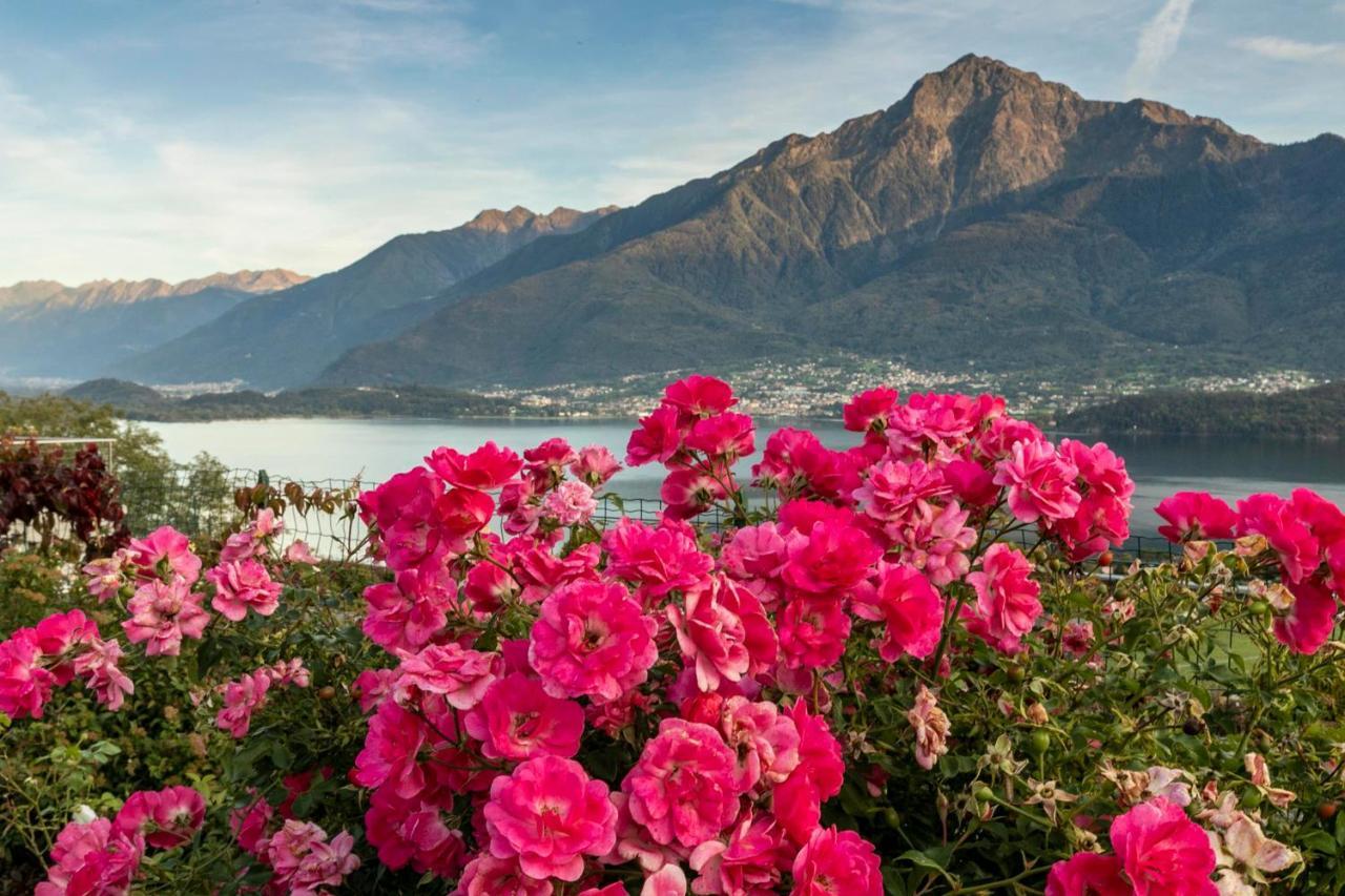La Collina Dei Fiori Lägenhet Vercana Exteriör bild
